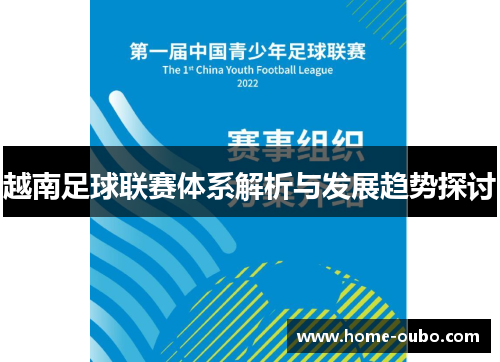越南足球联赛体系解析与发展趋势探讨